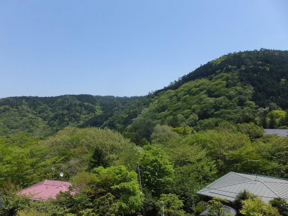 Hakone Kousano Mori اليابان